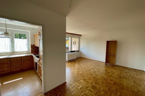 IMG_7545